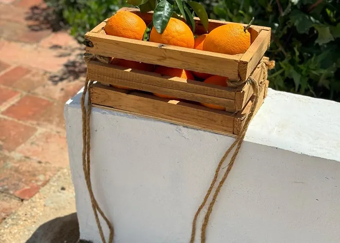 بيت للعطل Casa Mimosa - Algarve *