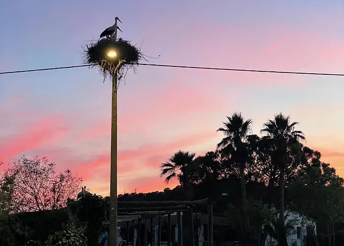 Casa Mimosa - Algarve بورتيماو