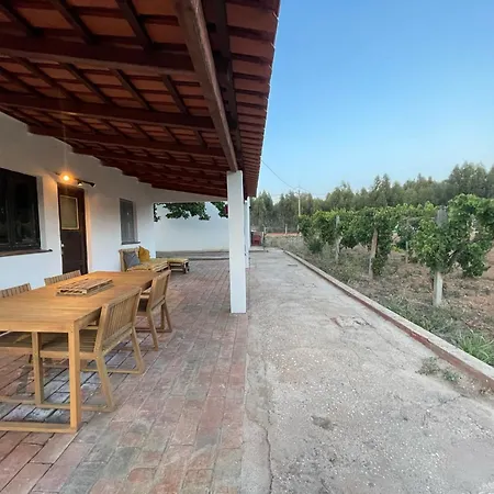 Dom wakacyjny Casa Mimosa - Algarve