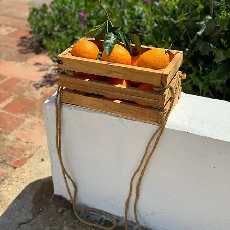 Nyaraló Casa Mimosa - Algarve *