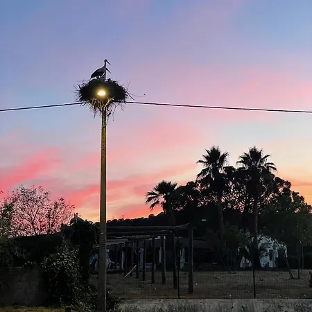 Casa Mimosa - Algarve Portimão