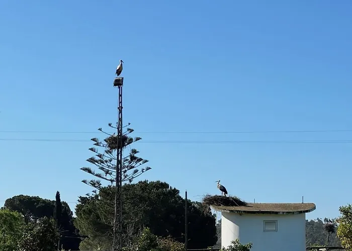 Casa Mimosa - Algarve Ferienhaus Portimão