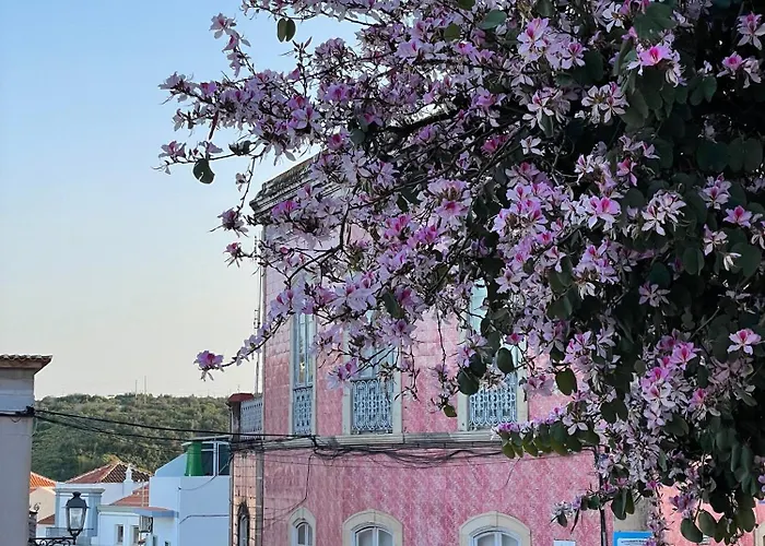 Casa Mimosa - Algarve Ferienhaus