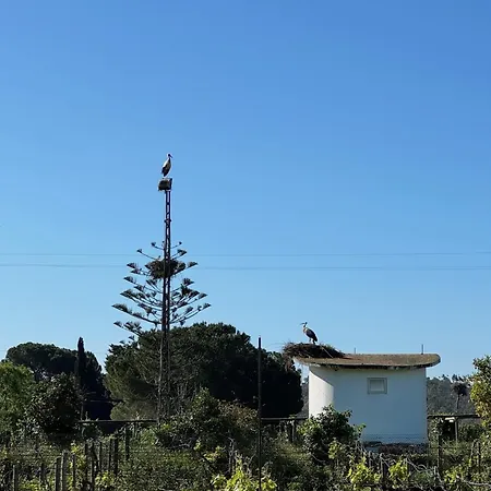Casa Mimosa - Algarve 別荘 ポルティマン